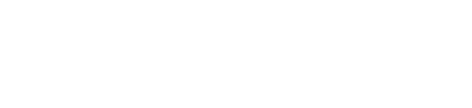 Virgo Multimedia
