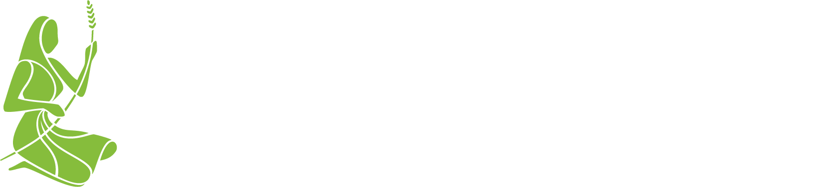 Virgo Multimedia
